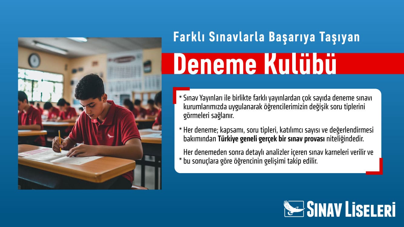 card-6