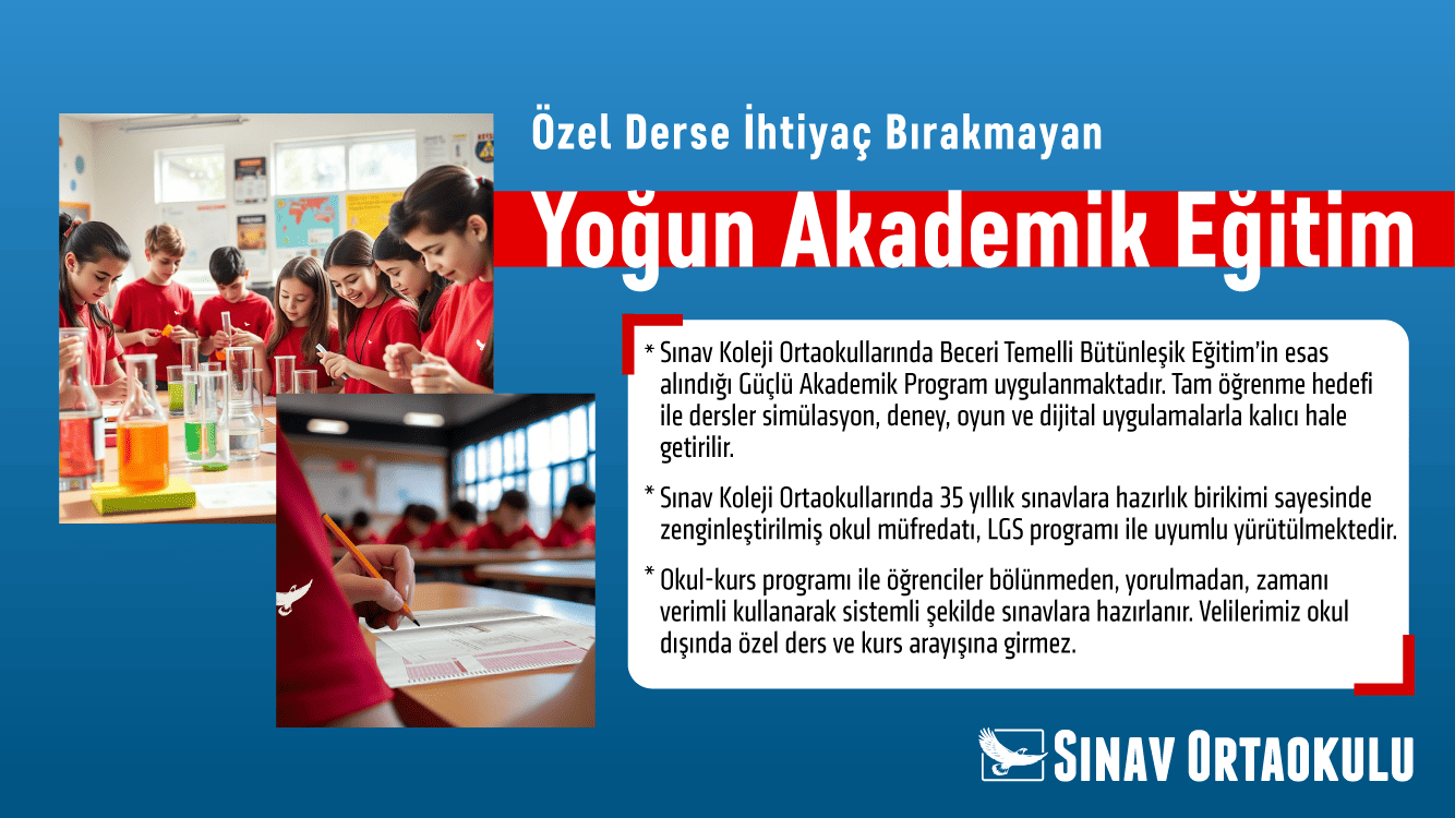 card-4